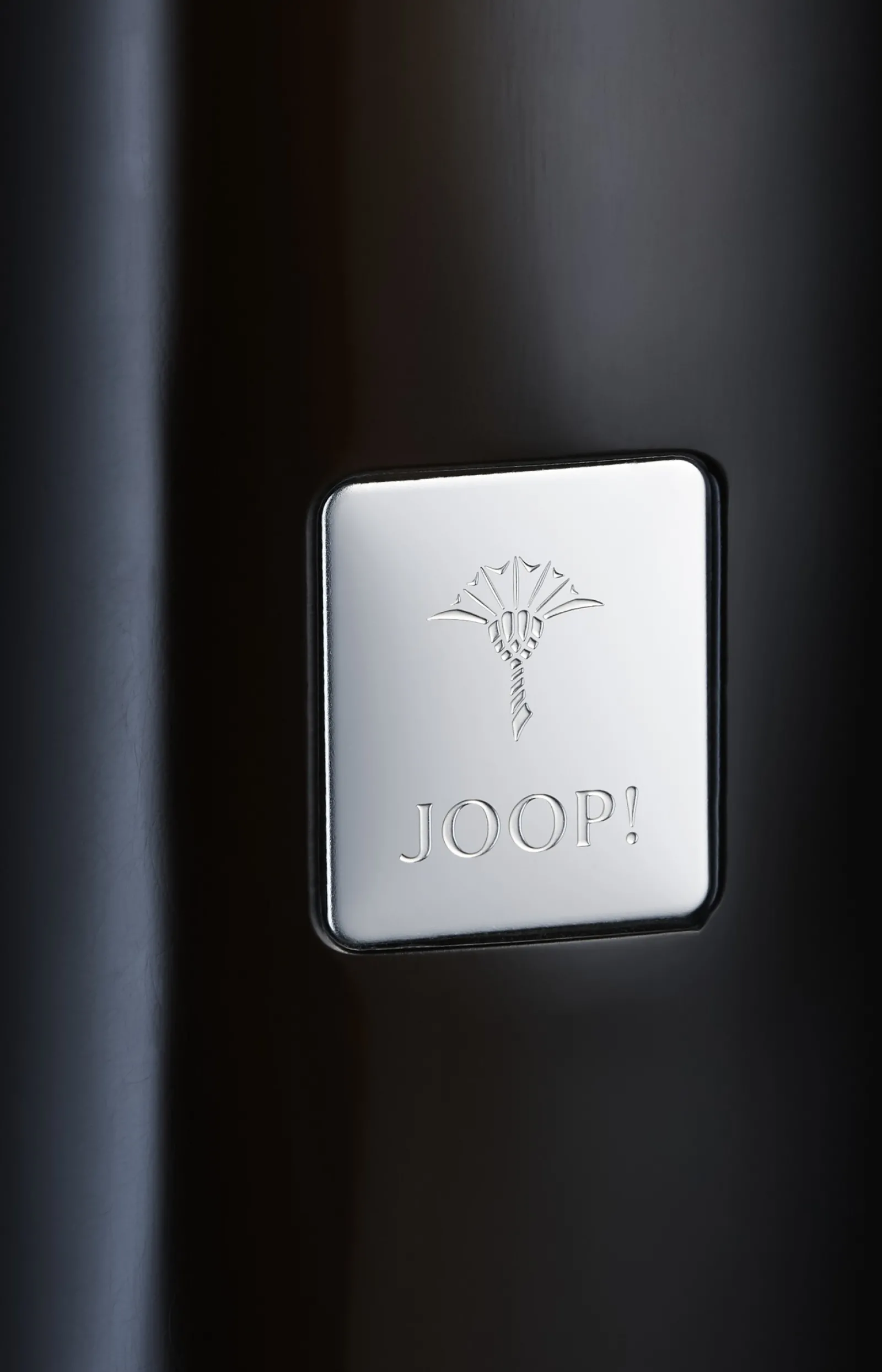 JOOP! Bad-Accessoires*Freistehende WC-Bürstengarnitur Crystal Line in Anthrazit